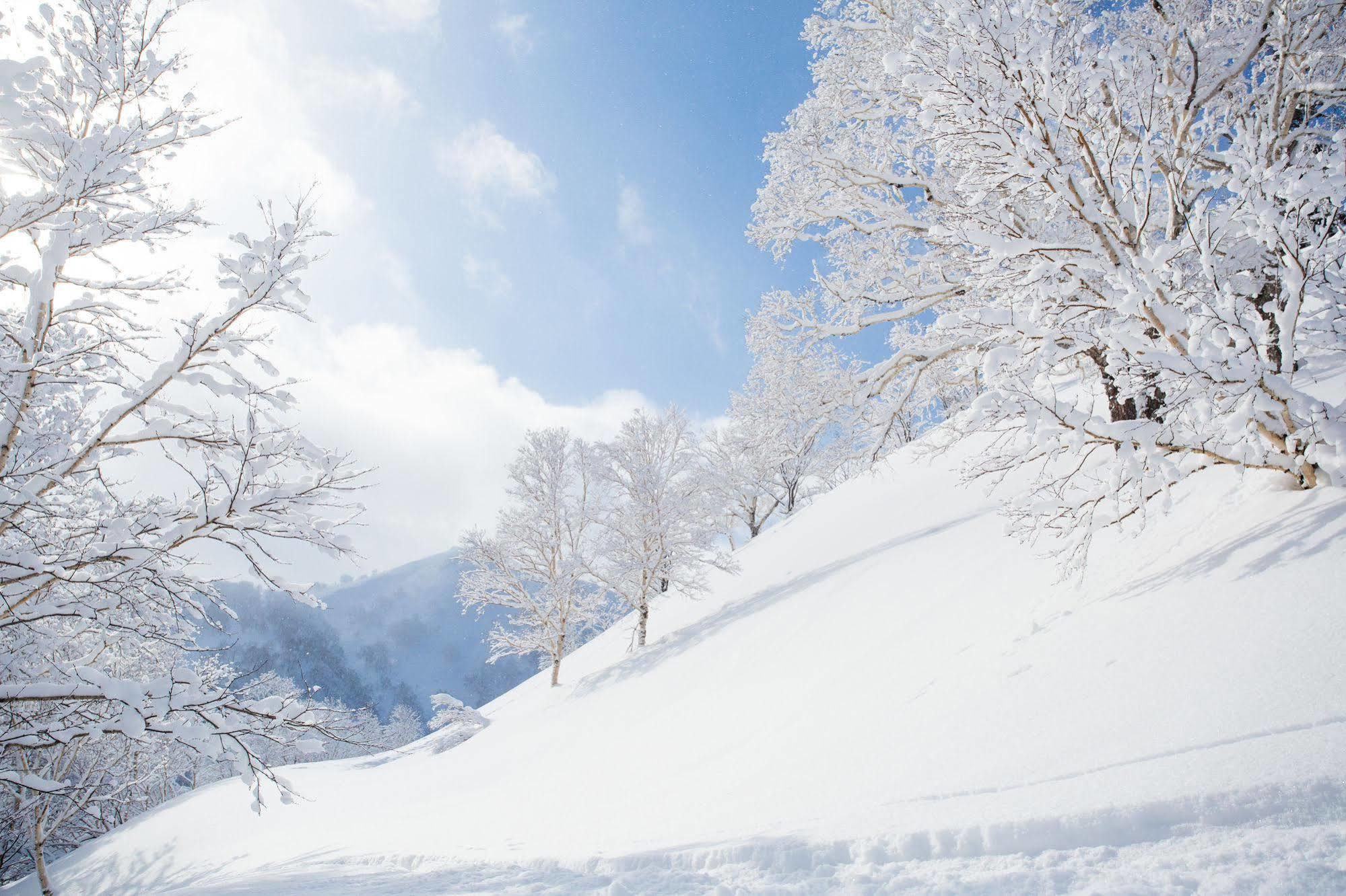 Loft Niseko Lägenhet Kutchan Exteriör bild